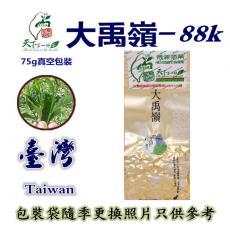 88K茶-大禹嶺-88K茶區